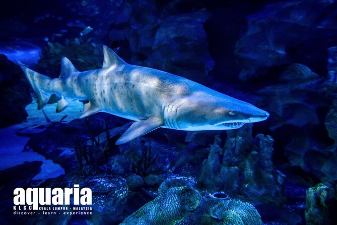 Malaysia: Aquaria KLCC Entry Ticket - Visitor Experience Highlights