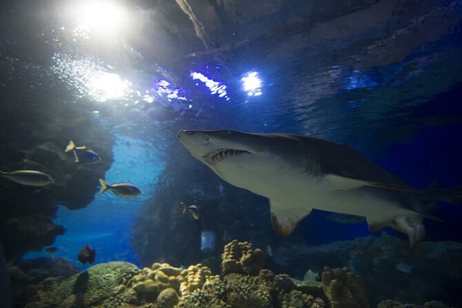 Malaysia: Aquaria KLCC Entry Ticket - Additional Visitor Guidelines