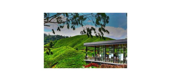 Malaysia: Customized Private City Highlights Tour - National Park Tours