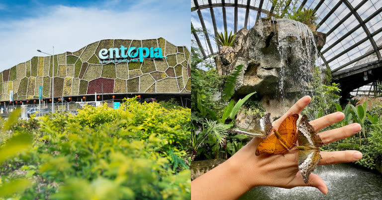 Malaysia Day Tours & Multi-Day Tours by WTS Travel - A farm visit, not just a coach ride