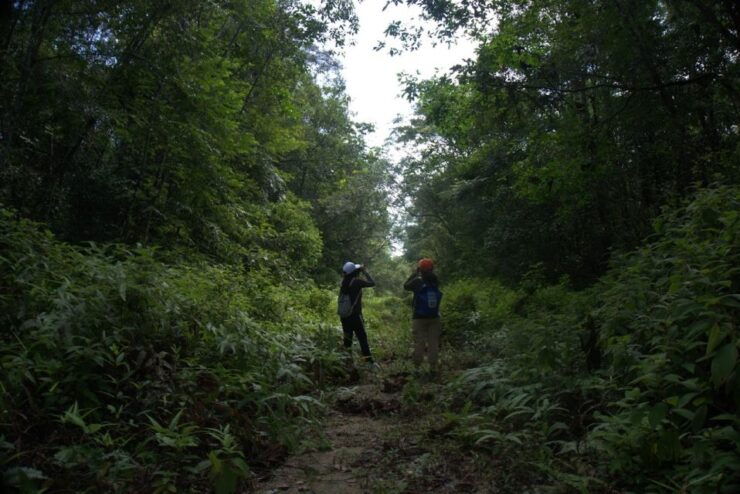 Malaysia: Gunung Panti Forest Reserve Guided Nature Tour - Experience Highlights
