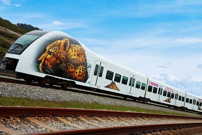 Malaysia: KLIA Ekspres Airport Train Ticket - An In-Depth Look at the KLIA Ekspres Experience