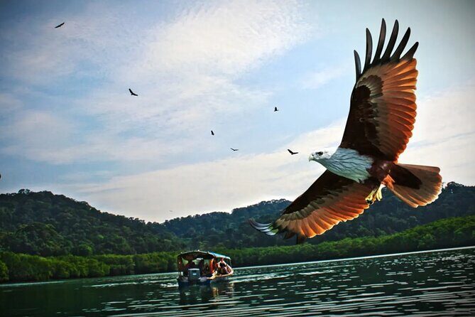 Malaysia Langkawi Island Hopping Tour Experience - Malaysia Langkawi Island Hopping Tour Experience – A Practical, Authentic Review