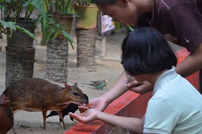 Malaysia: Langkawi Wildlife Park Entry Ticket - The Location & How to Get There