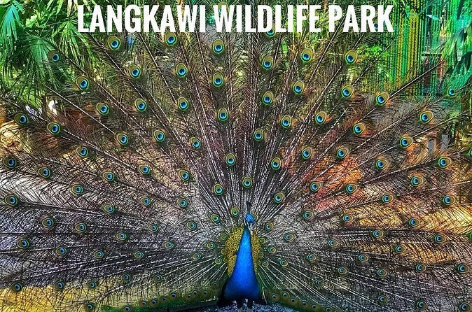 Malaysia: Langkawi Wildlife Park Entry Ticket - Authentic Experiences & Hidden Gems