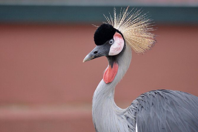 Malaysia: Langkawi Wildlife Park Entry Ticket - Who Should Visit?