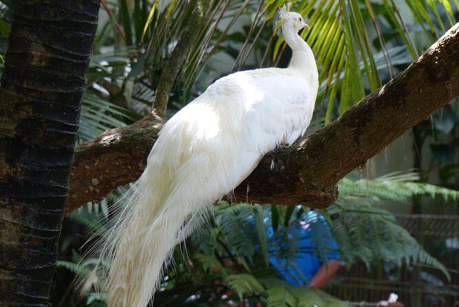 Malaysia: Langkawi Wildlife Park Entry Ticket - Final Thoughts