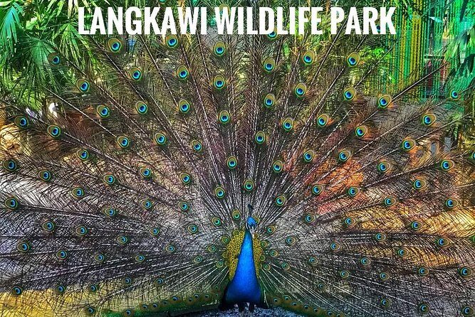 Malaysia: Langkawi Wildlife Park Entry Ticket - Introduction