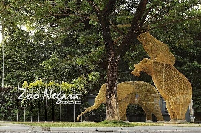 Malaysia National Zoo (Zoo Negara) with Giant Panda Viewing - Practical Tips for Your Visit