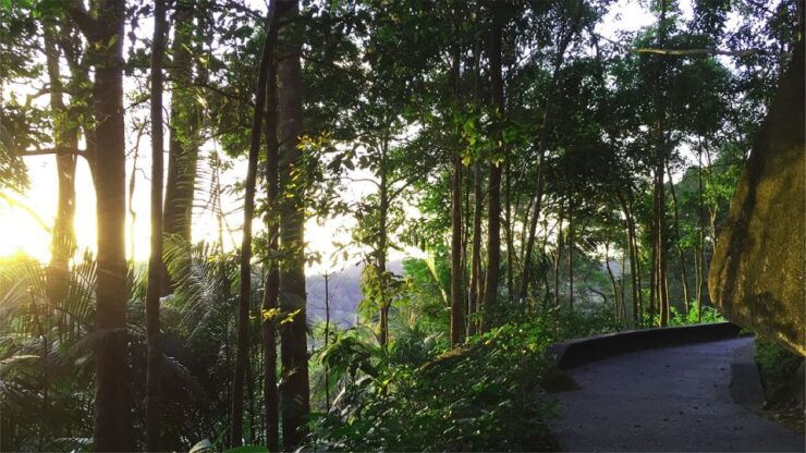 Malaysia: Penang Habitat Entry Ticket - Ticket Details and Features