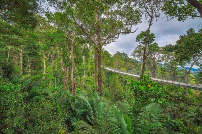Malaysia: Penang Habitat Entry Ticket - Full Description of the Experience