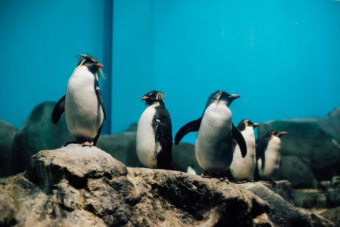 Malaysia: Underwater World Langkawi Entry Ticket - Experience