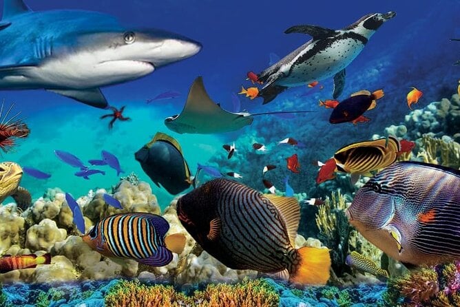 Malaysia: Underwater World Langkawi Entry Ticket - Duration