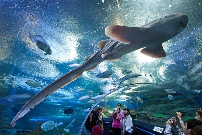 Malaysia: Underwater World Langkawi Entry Ticket - Inclusions
