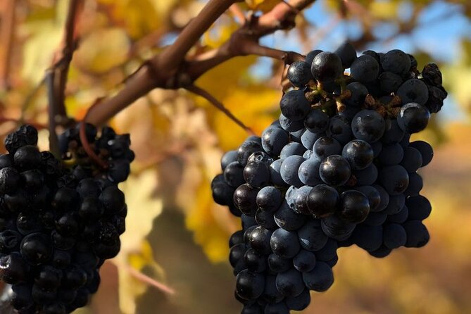 Malbec Madness Tour - Itinerary Overview