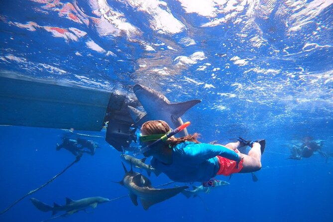 Maldives Adventure 5 Nights Stay With 10 Excursions - Additional Details