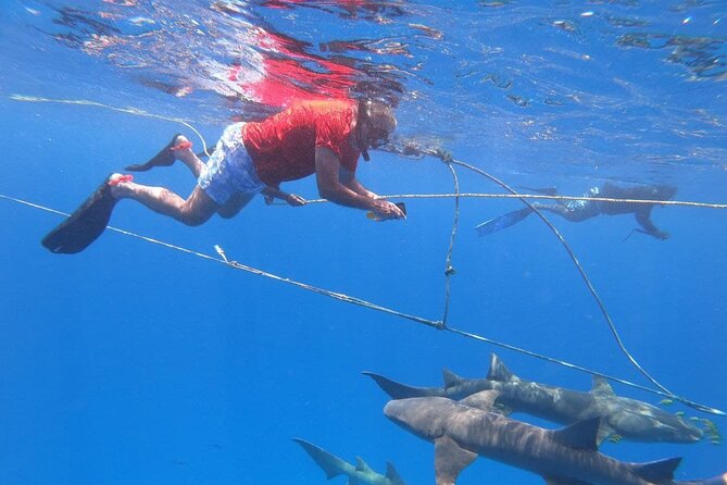 Maldives Adventure 5 Nights Stay With 10 Excursions - Accommodation Information