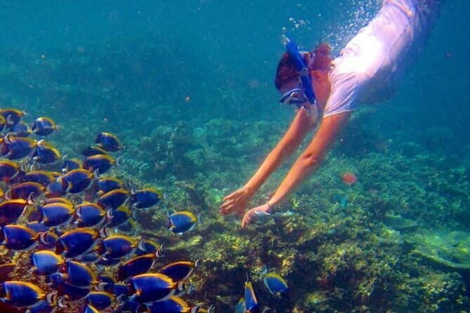 Maldives Adventure Trip - Authentic Insights from Reviewers