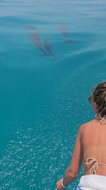 Maldives, Dhiffushi Shared Sunset Dolphin Cruise - Detailed Breakdown of the Itinerary