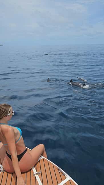 Maldives, Dhiffushi Shared Sunset Dolphin Cruise - A Closer Look at the Maldivian Sunset Dolphin Cruise