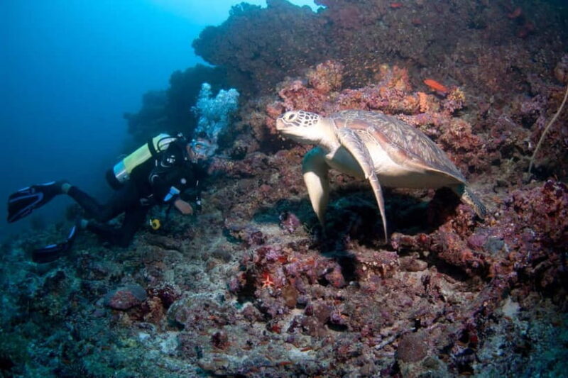 Maldives: Discover Scuba Diving - Introduction to the Maldives Discover Scuba Experience