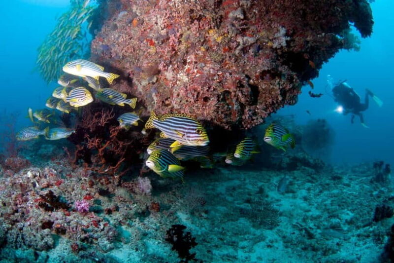 Maldives: Discover Scuba Diving - Introduction