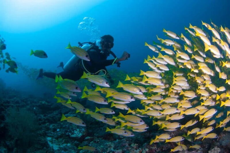 Maldives: Discover Scuba Diving - Good To Know