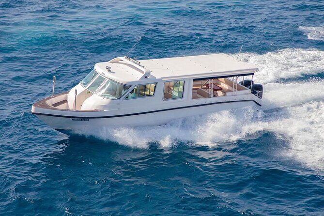 Maldives: Dolphin Watching Tour with Island Cruise - Final Thoughts: Who Is This Tour Best For?