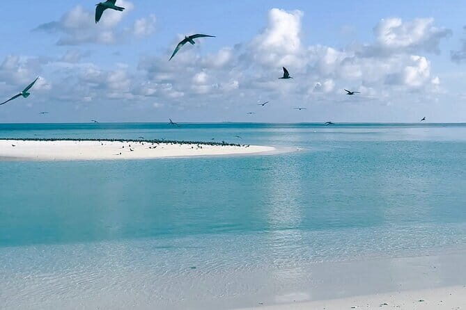 Maldives Dreams A Photoshoot of Love & Laughter with Island Todo - Final Thoughts