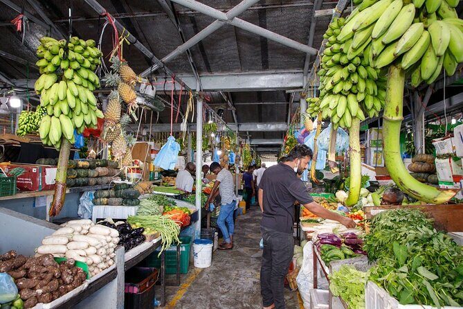 Maldives: Male City Highlights Tour by Car with Local Guide - The Sum Up