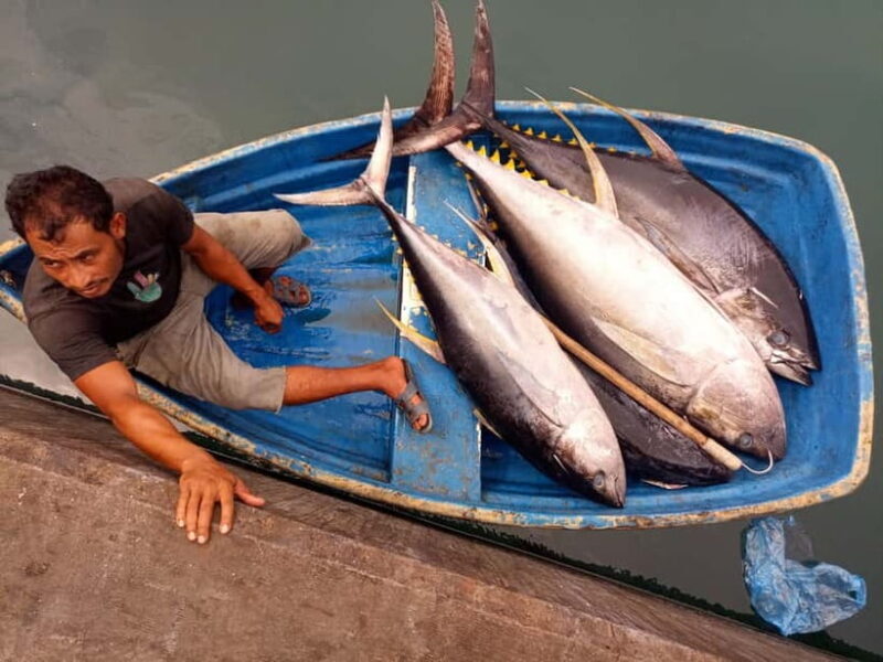 Maldives: Male City Private Walking Tour - Insights from Reviewers