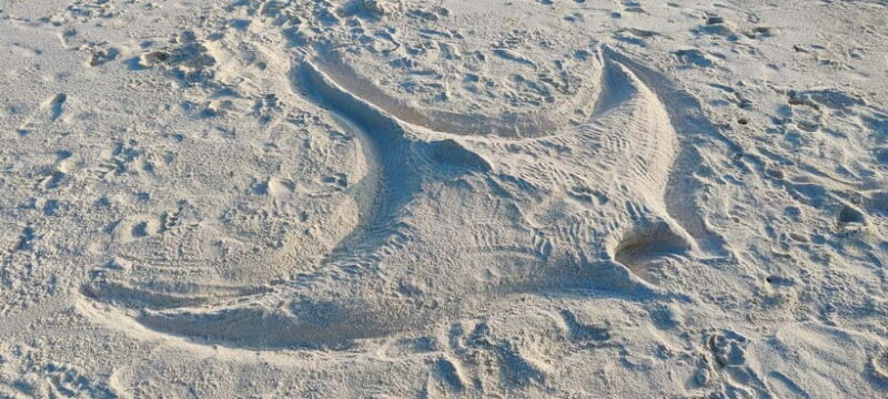 Maldives: Sandbank, Snorkelling & Sunset Cruise - What’s Included and What’s Not