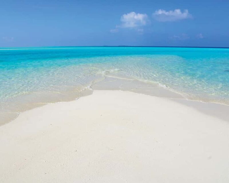 Maldives: Snorkeling with Nurse Sharks, Coral Reef, Sandbank - Good To Know