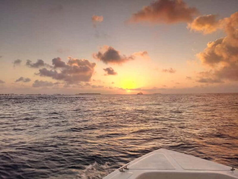 Maldives: Sunset Cruise with Dolphin Watching - Good To Know