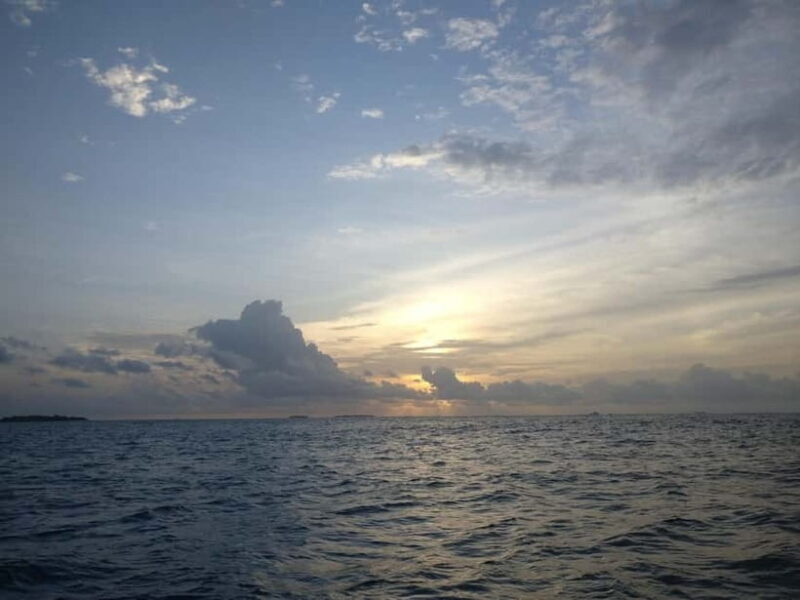 Maldives: Sunset Cruise with Dolphin Watching - An In-Depth Look at the Sunset Cruise