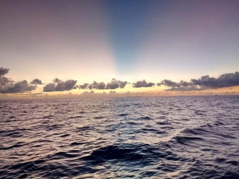 Maldives: Sunset Cruise with Dolphin Watching - Final Thoughts
