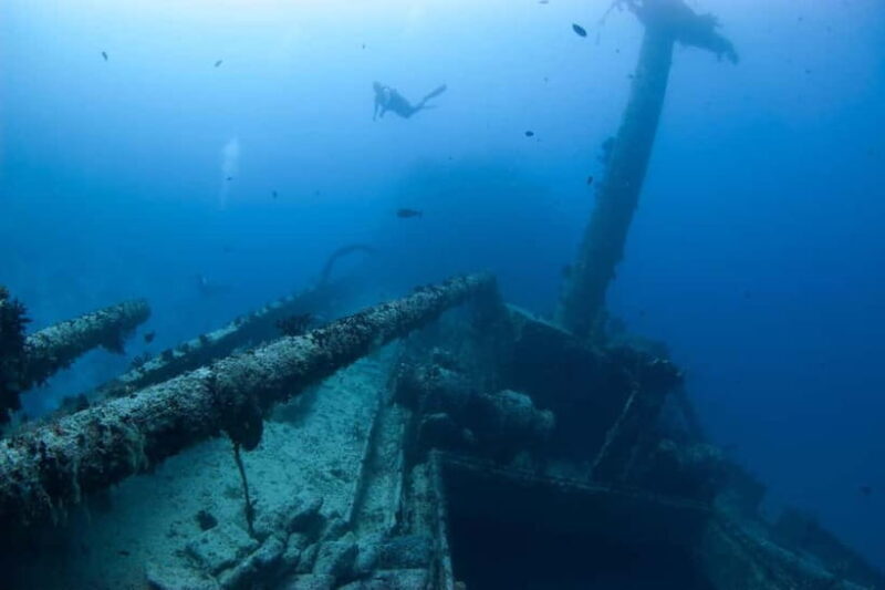 Maldives: Victory Shipwreck Scuba Dive - Why This Dive Is Worth It