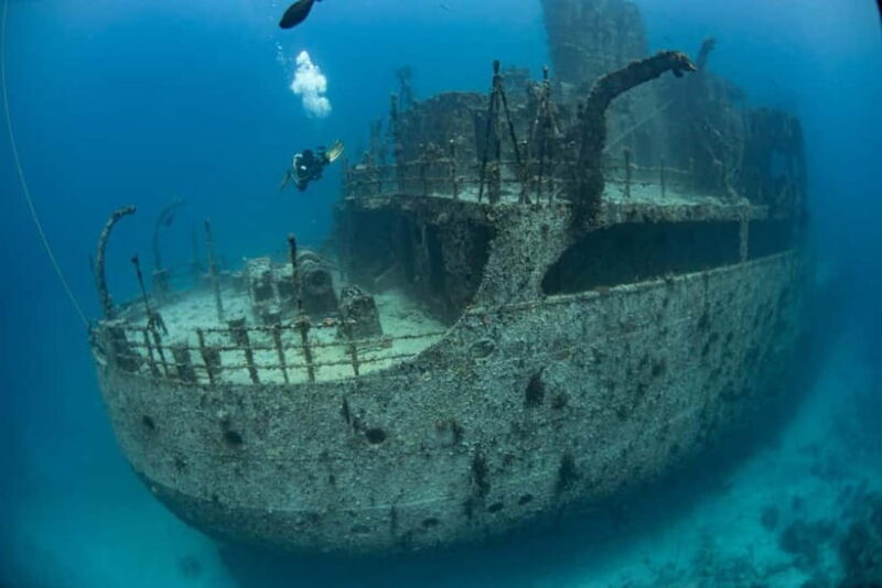 Maldives: Victory Shipwreck Scuba Dive - Good To Know
