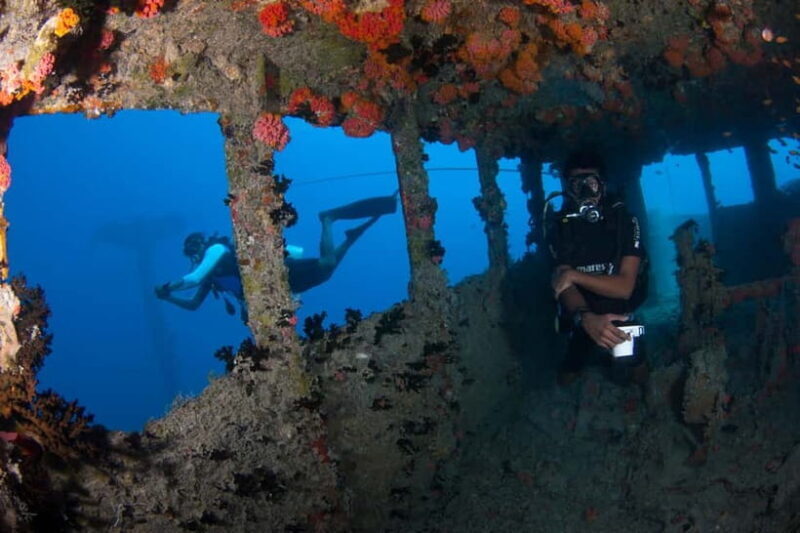 Maldives: Victory Shipwreck Scuba Dive - What to Expect from the Dive Experience