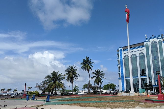 Male City Tour - Language Options (English/Spanish/French/Italian) - Language Options Available