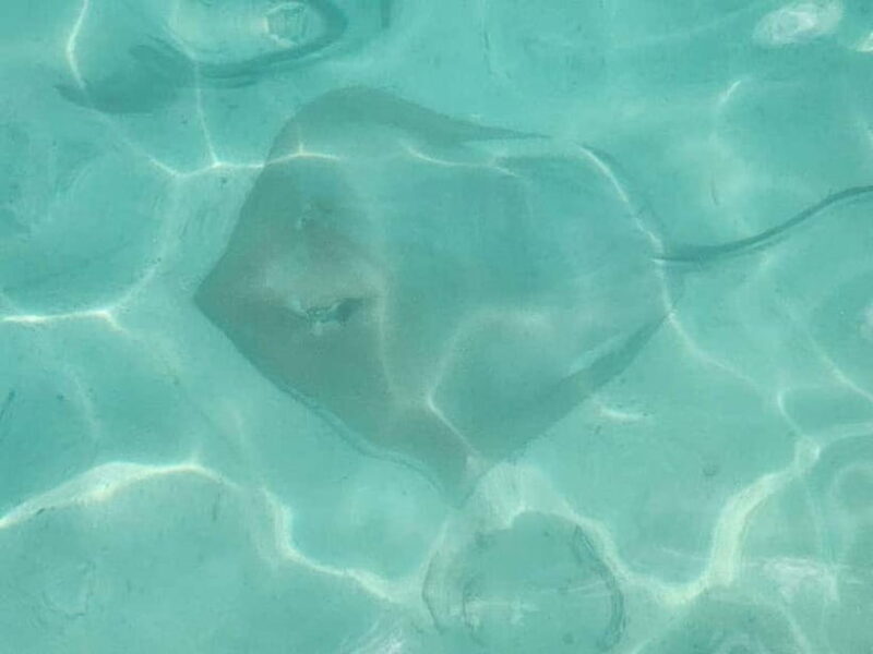 Malé: Two-Point Snorkelling Adventure - Good To Know