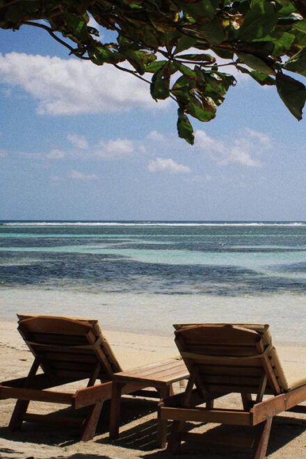 MALECON21 BEACH CLUB Costa Maya GOLD BEACH BREAK DAY PASS - Included Amenities