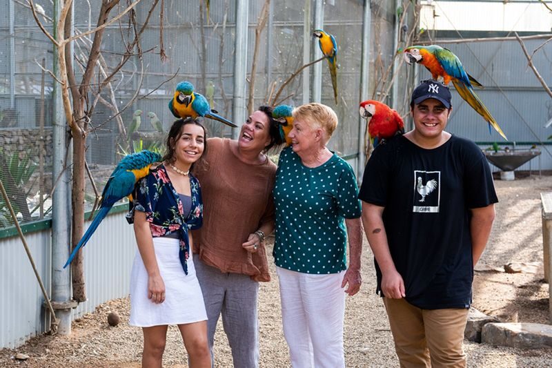 Maleny Botanic Gardens and Bird World Ticket in Sunshine Coast - What to Know Before You Go