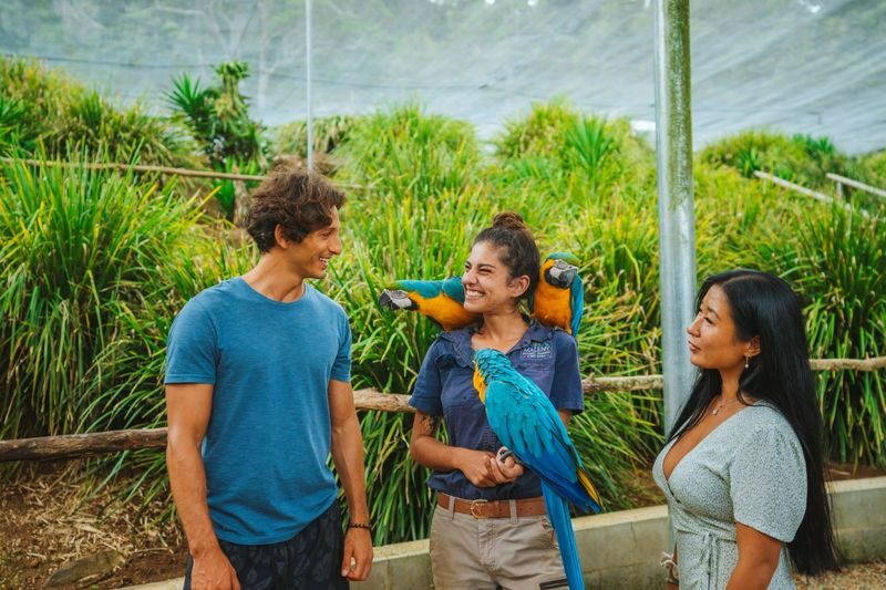Maleny Botanic Gardens and Bird World Ticket in Sunshine Coast - How Long to Allow, and What to Bring