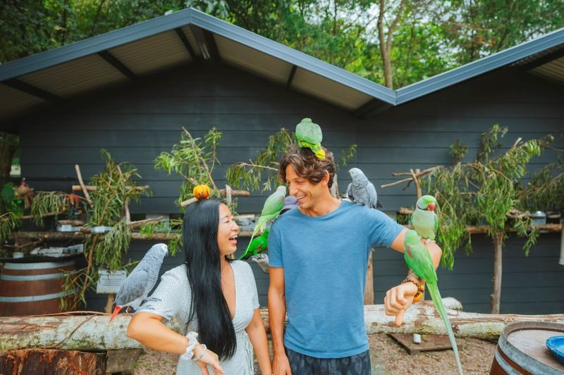 Maleny Botanic Gardens and Bird World Ticket in Sunshine Coast - Is This a Good Value for Your Sunshine Coast Day?
