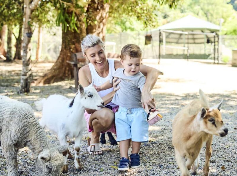 Maleny: Maleny Botanic Gardens & Bird World Entry Ticket - Good To Know