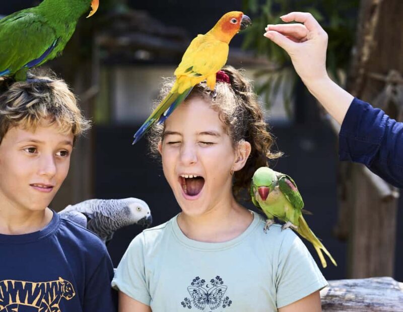 Maleny: Maleny Botanic Gardens & Bird World Entry Ticket - The Experience: What to Expect