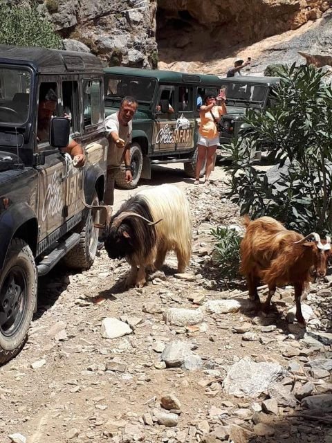 MALIA: East Crete Famous Places (Family and Child Friendly) - Experience Description