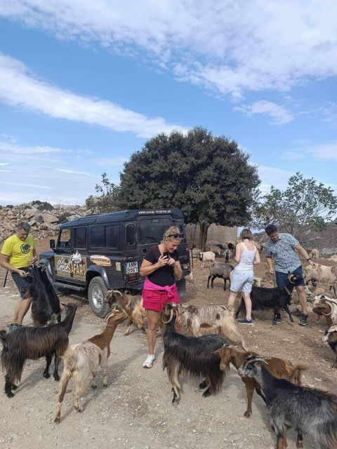 MALIA: Land Rover Safari Lasithi Plateau and Zeus Cave - Inclusions