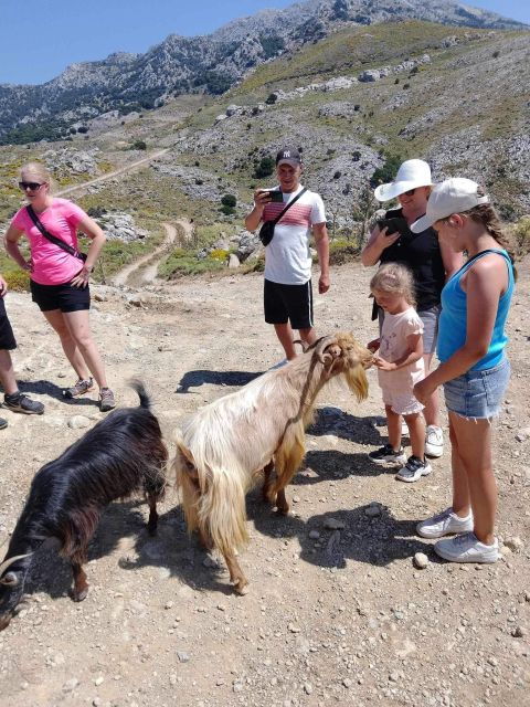 MALIA: Land Rover Safari Lasithi Plateau and Zeus Cave - Important Information
